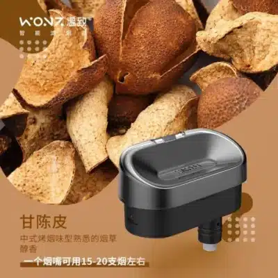 P 6101101