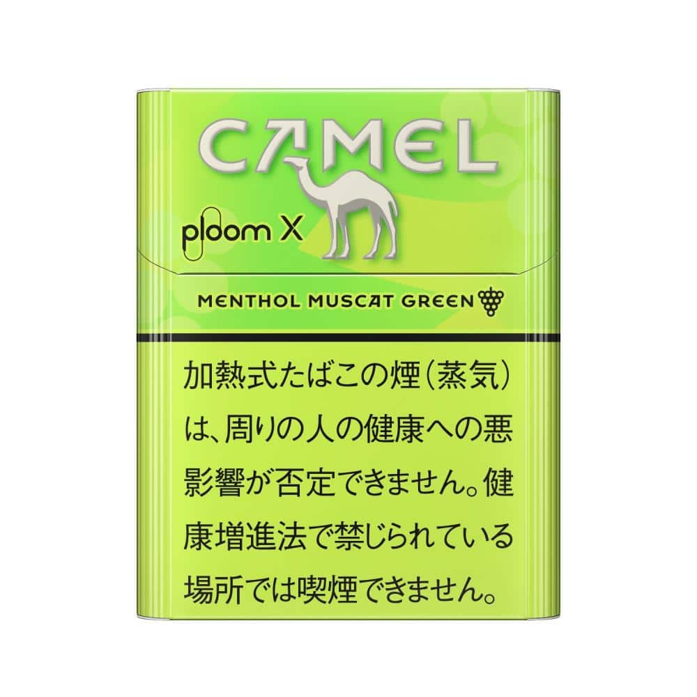 PM013