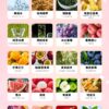 哈們一代煙彈