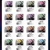 SP2S NEW MAX 煙彈 大容量4ml*2顆裝 一盒2入 專機專用
